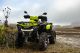 Powerland Tachyon Electrische Quad / ATV T3b